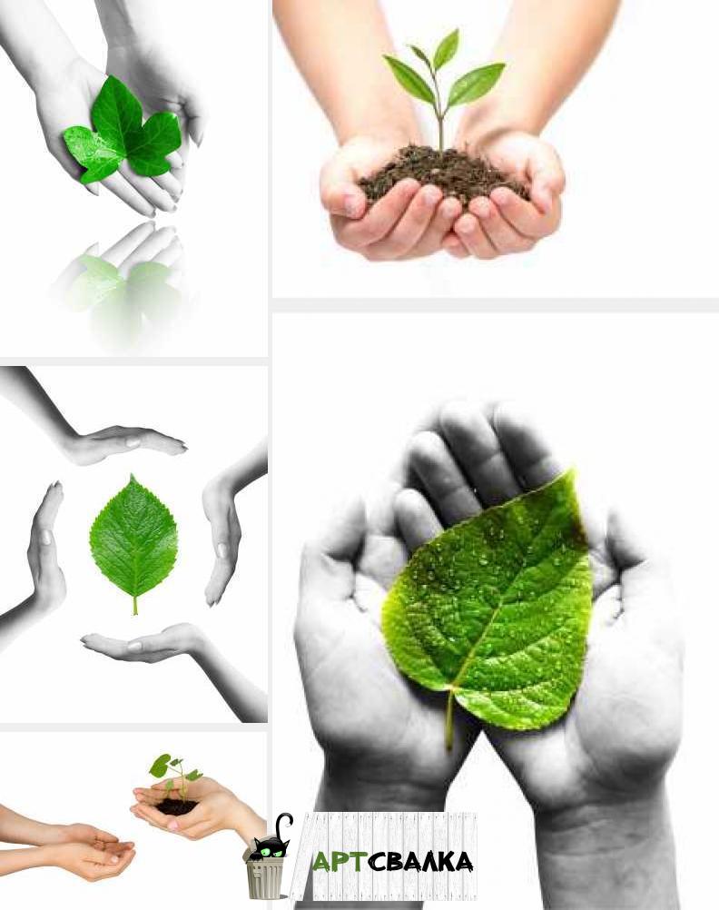 Защита природы растровый клипарт. Эко стиль | Protection of nature raster clipart. Eco style